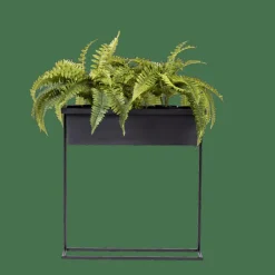 BALCO Bac à Plantes Noir