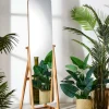 BAMBOO Miroir Brun