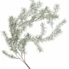 CEDER Branche Décorative Vert