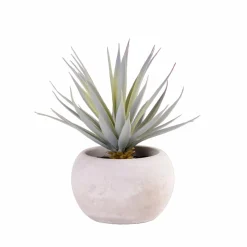 CEMENT Plante Artificielle Gris