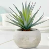 CEMENT Plante Grasse Artificielle Gris