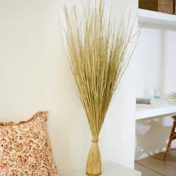 COGON Botte D'herbe Naturel
