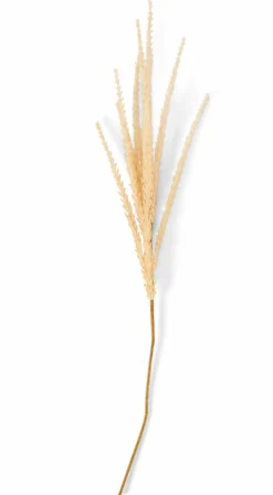 GOLDENROD Tige Kaki
