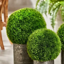 GRASS Botte D'herbe Vert