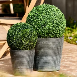 GREEN Boule Buis Vert