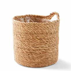 GREEN Boule Buis Vert