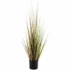 HERBA Herbe En Pot Vert