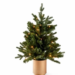 HYMNE Branche Décorative Vert