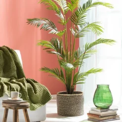 KWAI Palmier Vert