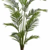 KWAI Palmier Vert