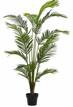 KWAI Palmier Vert