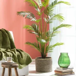 KWAI Palmier Vert