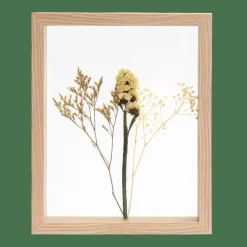 LIMONIUM Décoration Murale Naturel