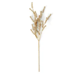 MOTHERWORT Branche D'herbes Doré