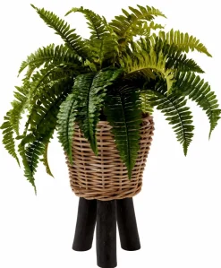 OAK Socle Naturel