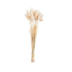 PAMPLONA Vase Crème