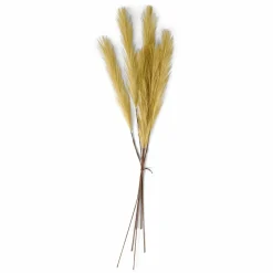 PLUME Plumes Décoratives Brun Clair