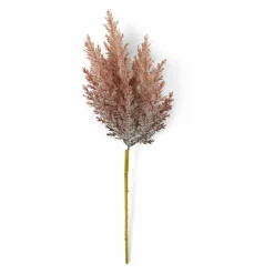 PLUME Plumes Décoratives Brun Clair