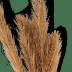 PLUME Plumes Décoratives Brun