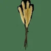 PLUME Plumes Décoratives Vert