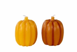 PUMPKIN Terre Cuite