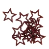 STAR Décoration Séchée