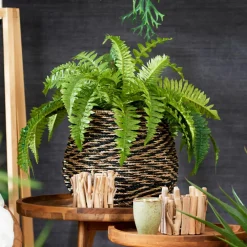STRIPE Pot à Suspendre Naturel