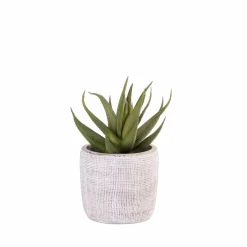 STRIPE Pot à Suspendre Naturel