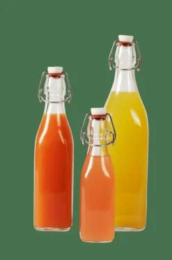 SWING Bouteille 0,25 L Transparent