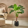 TARO Plante Artificielle Arum Vert