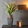 VERA Aloe Vera Vert
