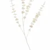 WHITE Rideau à Franges Blanc